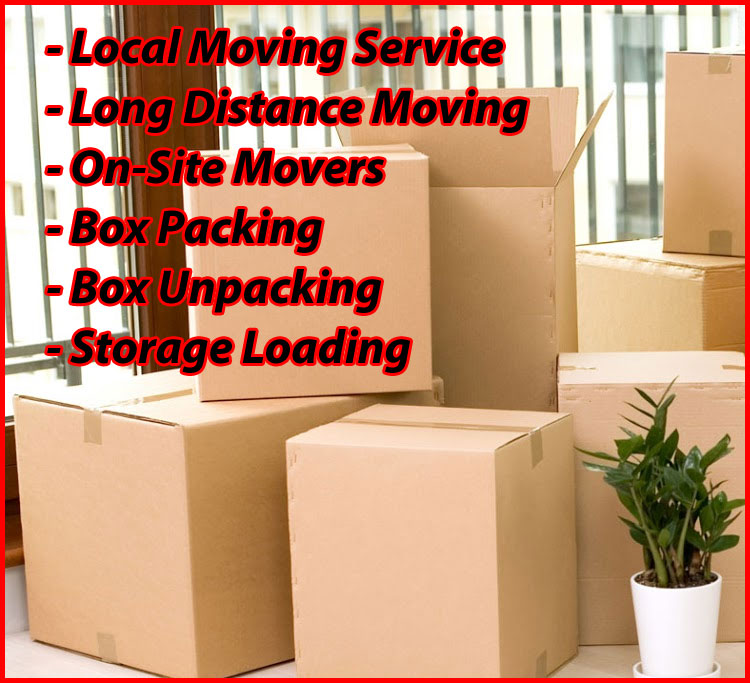 Packers And Movers Noida Sector 133